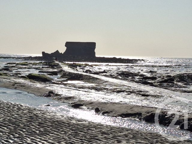 divers à louer - 45.0 m2 - LE PORTEL - 62 - NORD-PAS-DE-CALAIS - Century 21 La Concorde