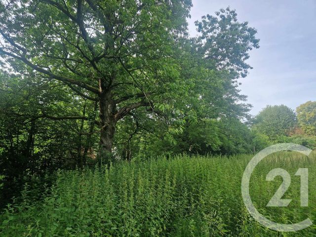 terrain à vendre - 3734.0 m2 - CORMONT - 62 - NORD-PAS-DE-CALAIS - Century 21 La Concorde