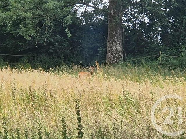 terrain à vendre - 3734.0 m2 - CORMONT - 62 - NORD-PAS-DE-CALAIS - Century 21 La Concorde