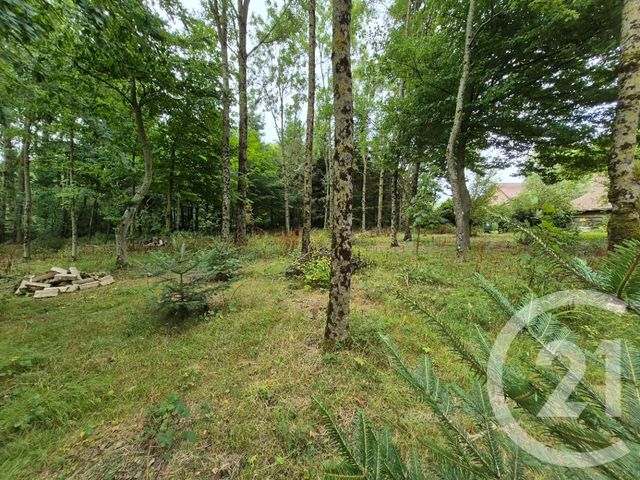 maison à vendre - 9 pièces - 152.0 m2 - DESVRES - 62 - NORD-PAS-DE-CALAIS - Century 21 La Concorde