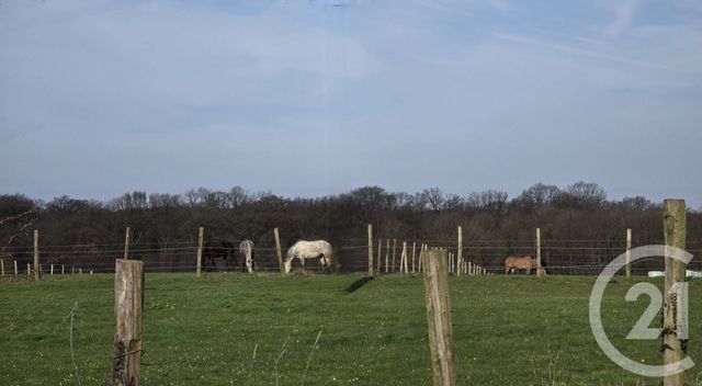 maison à vendre - 4 pièces - 109.0 m2 - NESLES - 62 - NORD-PAS-DE-CALAIS - Century 21 La Concorde