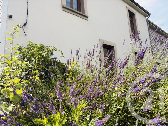 maison à vendre - 6 pièces - 121.0 m2 - NESLES - 62 - NORD-PAS-DE-CALAIS - Century 21 La Concorde