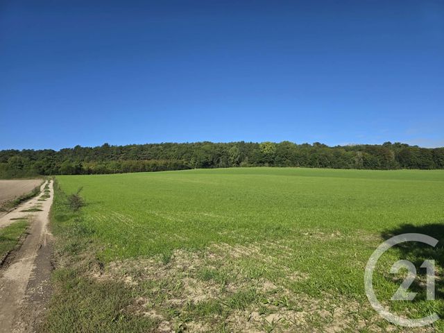 maison à vendre - 4 pièces - 69.3 m2 - NEUFCHATEL HARDELOT - 62 - NORD-PAS-DE-CALAIS - Century 21 La Concorde